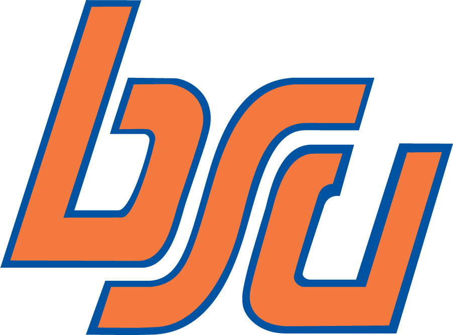 Boise State Broncos 1974-2002 Alternate Logo DIY iron on transfer (heat transfer)